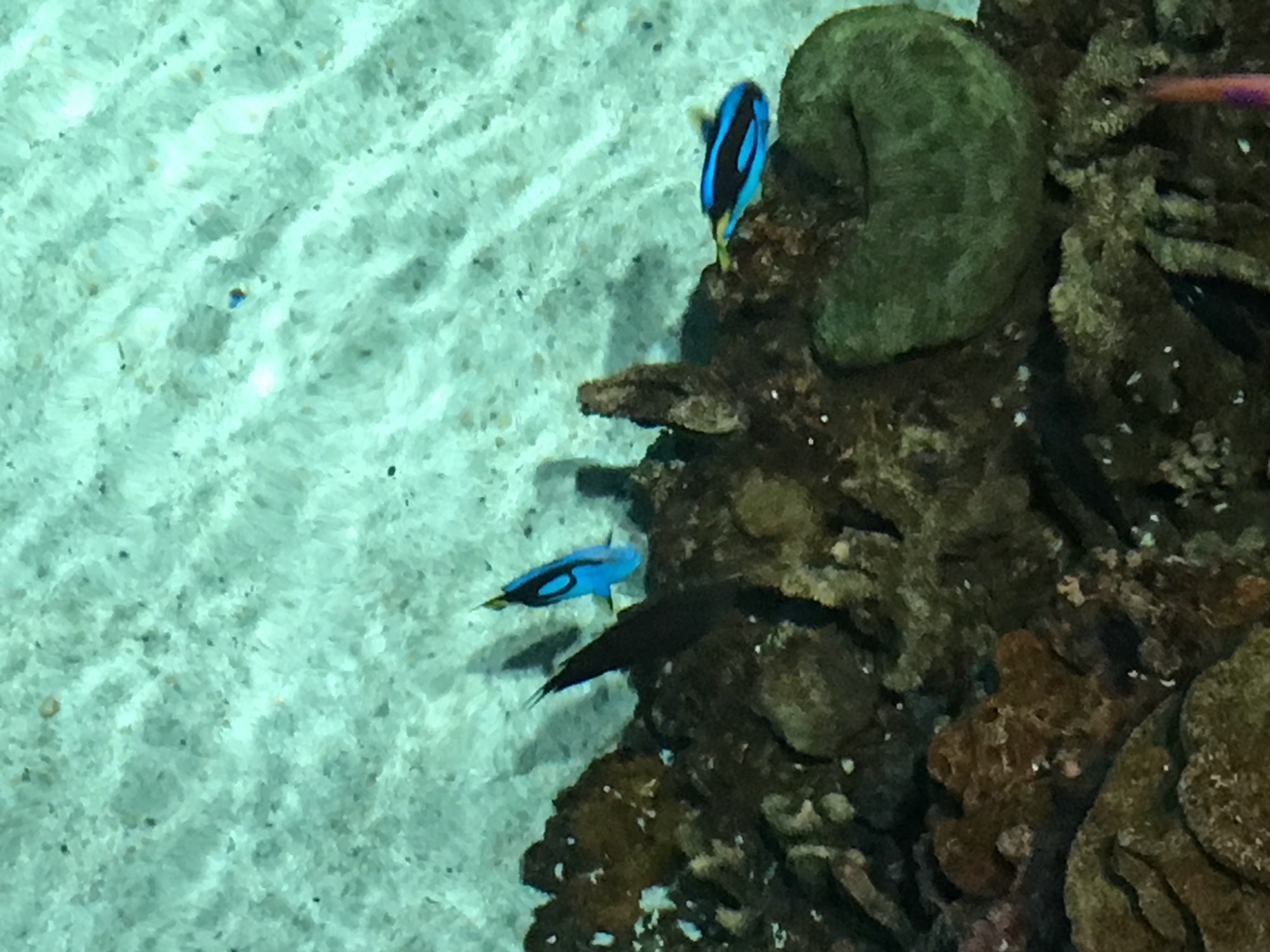 07-08-2016-baltimore-3 photo