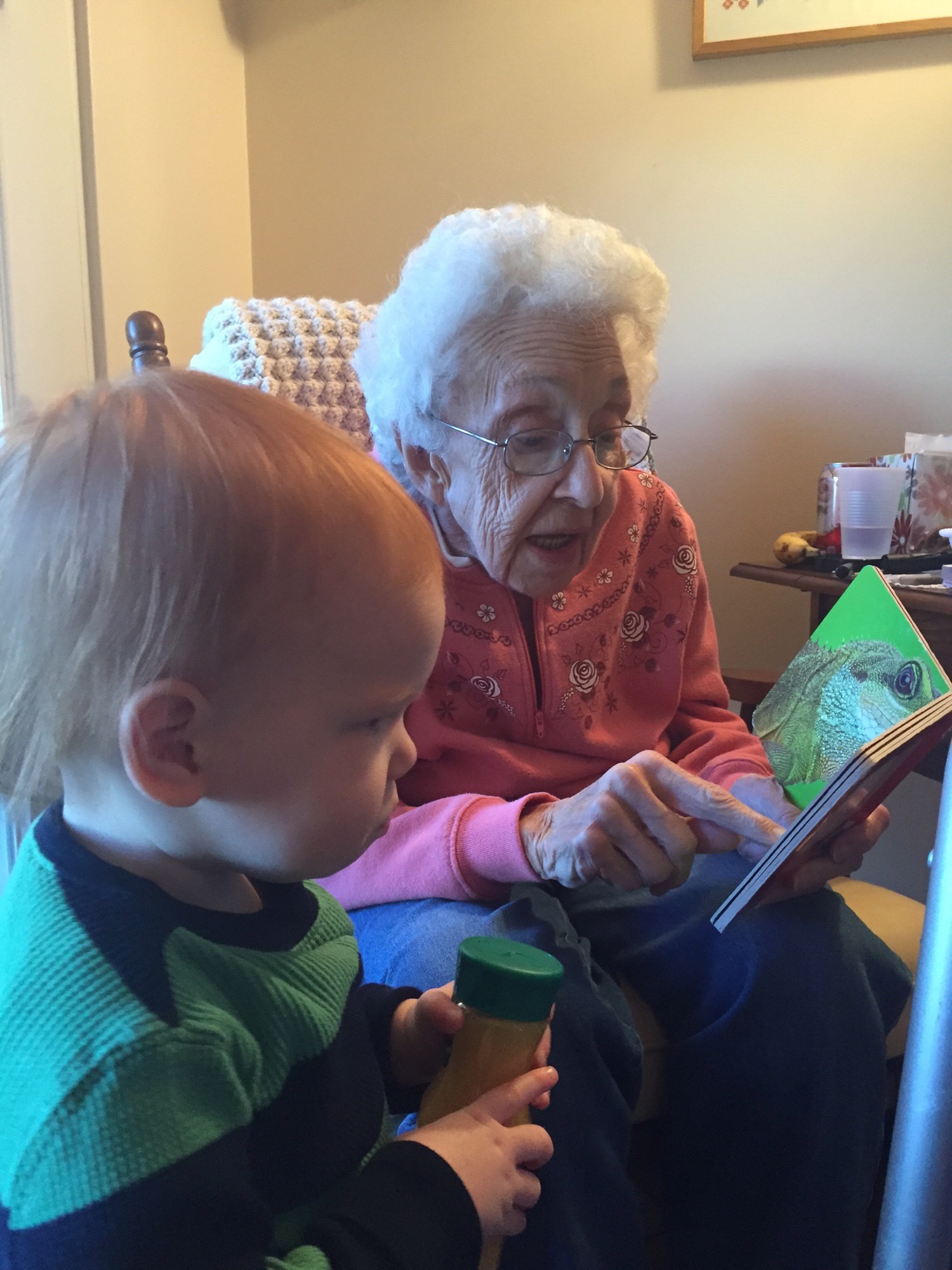 01-21-2016-great-grammy photo