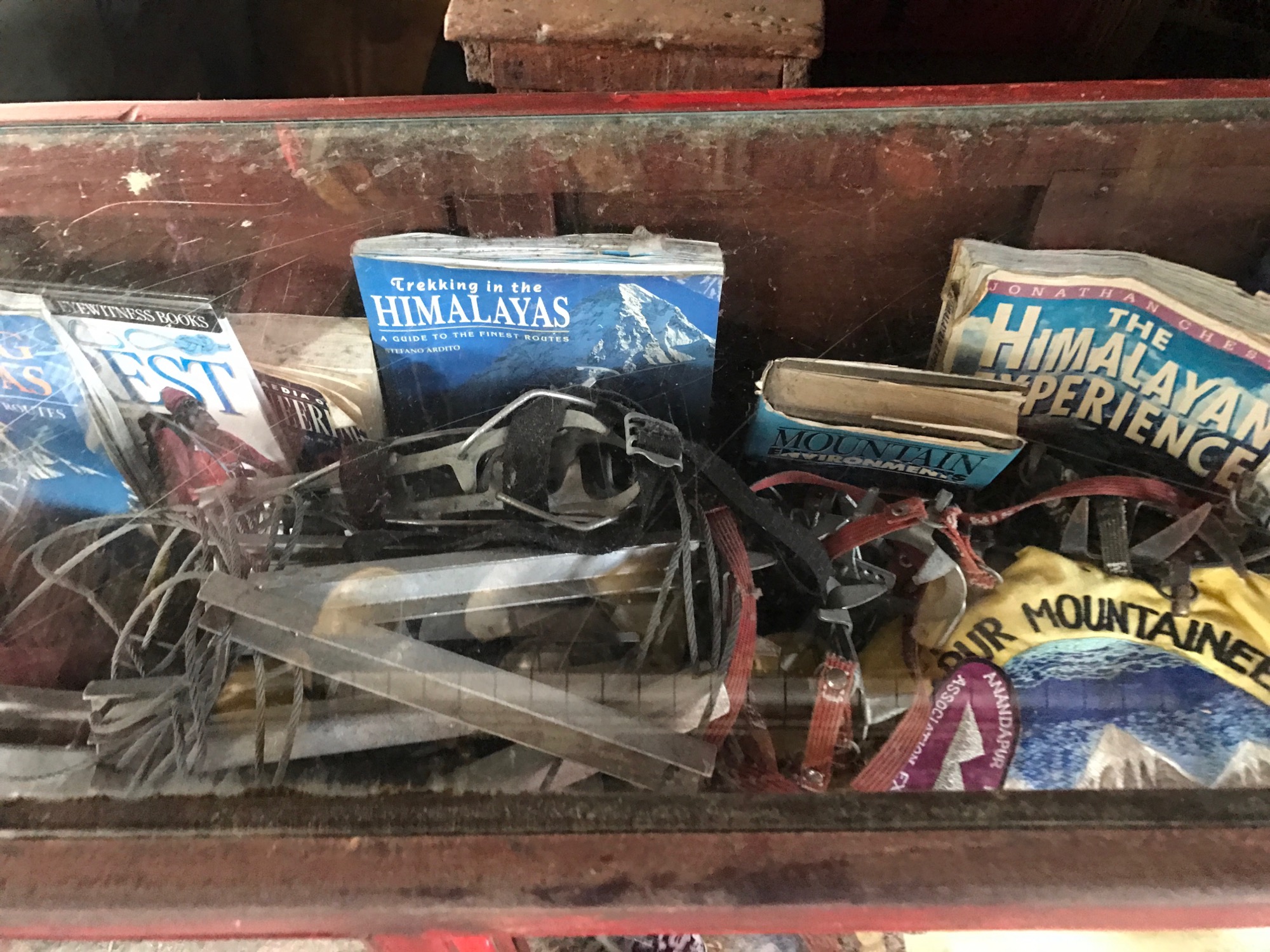 disney-trip-2016-113 photo