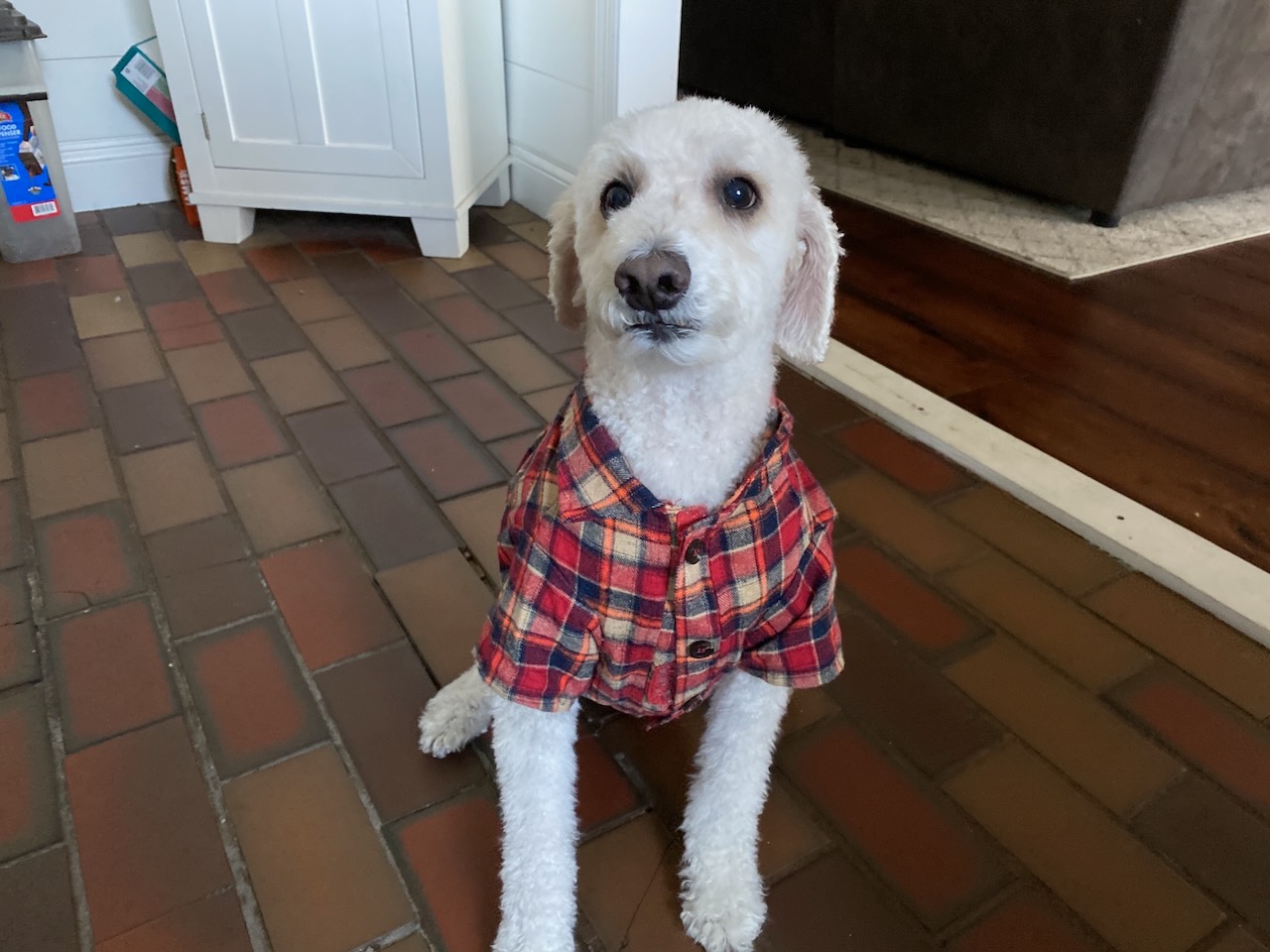 2020-11-02-clark-new-drip photo