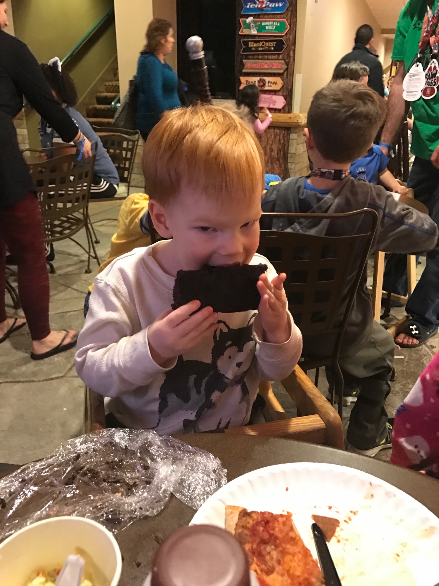 12-29-2016-great-wolf-lodge-4 photo