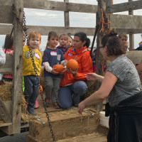 Pumpkin Patch Field Trip