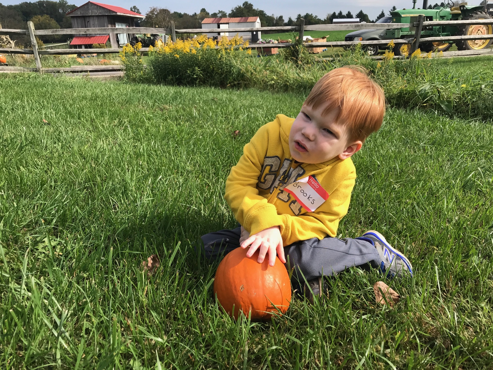 2017-10-11-pumpkin-patch-brooks-02 photo