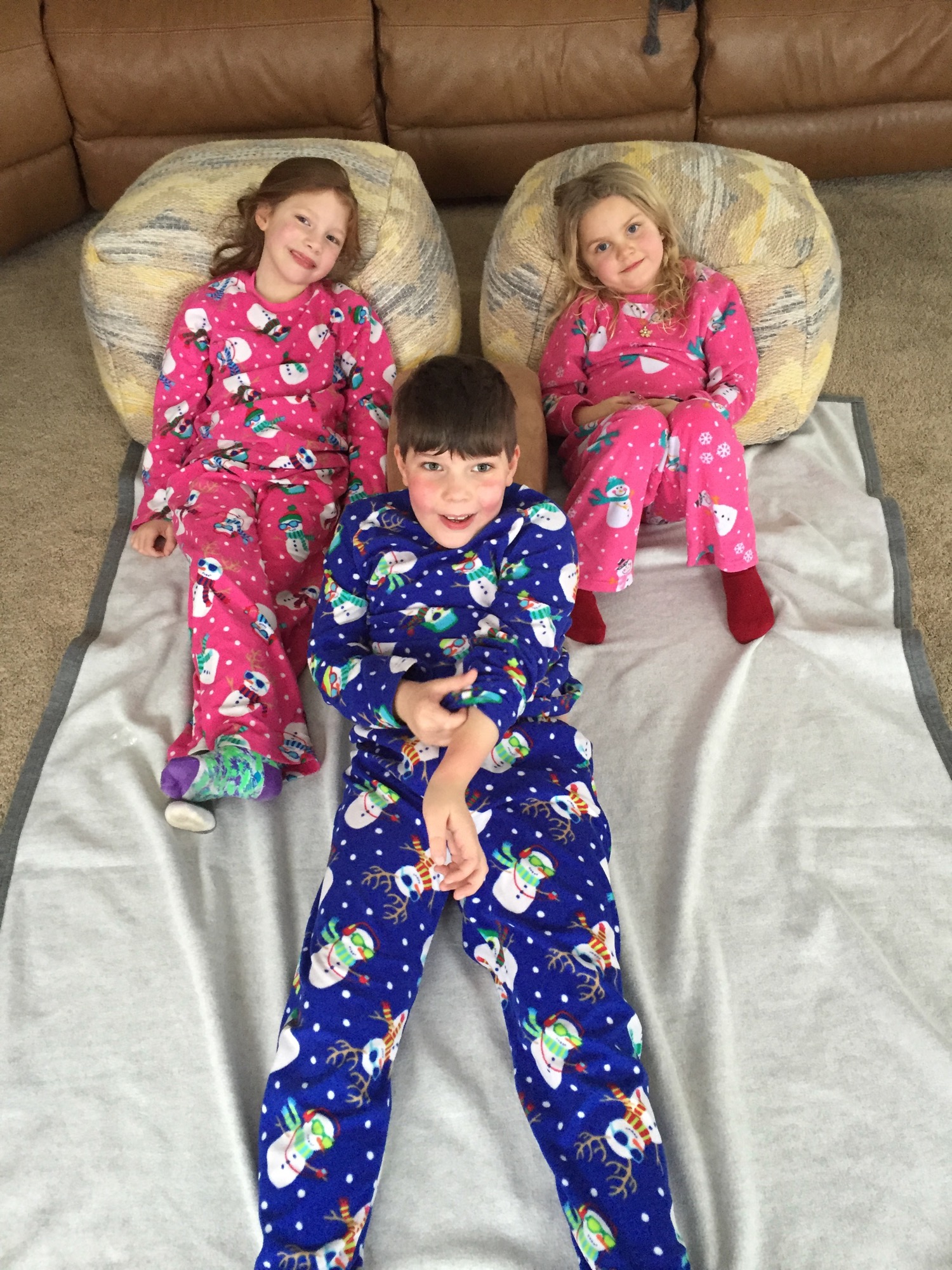 01-23-2016-snowed-in-4 photo