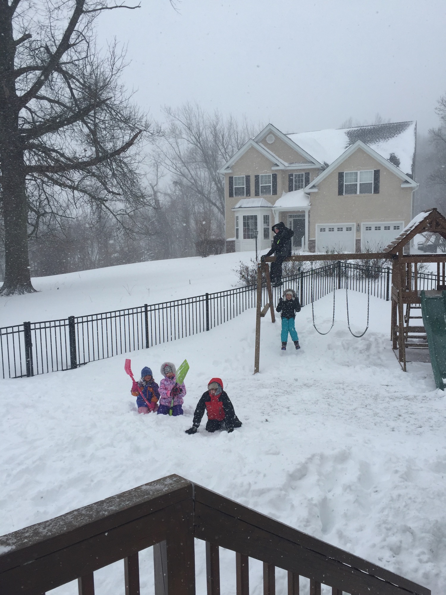 01-23-2016-snowed-in-1 photo